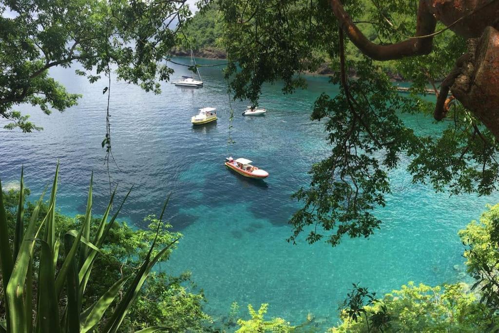 Le Marin - Bungalow Classe 3 Etoiles Tb Equipe & Confortable - Escapade En Couple - Paisible & En Toute Discretion - Wi-Fi - Climatisation - Calme & Serenite - Plages Du Sud, Centre De Carenage & Marina Du Marin Proche En Voiture - Acheminement Sur D Kültér fotó