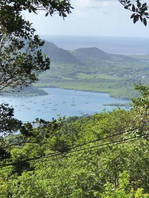 Le Marin - Bungalow Classe 3 Etoiles Tb Equipe & Confortable - Escapade En Couple - Paisible & En Toute Discretion - Wi-Fi - Climatisation - Calme & Serenite - Plages Du Sud, Centre De Carenage & Marina Du Marin Proche En Voiture - Acheminement Sur D Kültér fotó